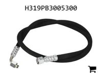 AGCO H319PB3005300 Шланг высокого давления