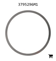 AGCO 3795296M1 Шайба