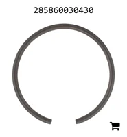 AGCO 285860030430 Стопорная шайба