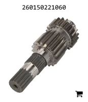 AGCO 260150221060 Вал