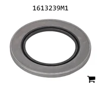 AGCO 1613239M1 Прокладка