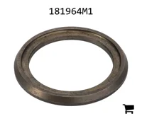 AGCO 181964M1 Шайба