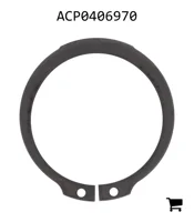 AGCO ACP0406970 Стопорная шайба