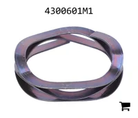 AGCO 4300601M1 Шайба