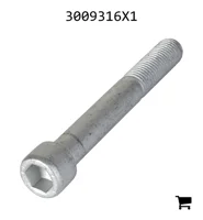 AGCO 3009316X1 Винт с цилиндрической головкой и шестигранным углублением