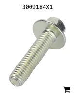 AGCO 3009184X1 Болт с шестигранной головкой и фланцем