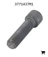 AGCO 3771437M1 Винт с цилиндрической головкой