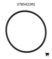 AGCO 3785421M1 Уплотнительное кольцо