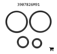 AGCO 3907826M91 Ремкомплект гидравлического клапанного блока