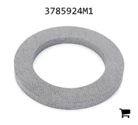 AGCO 3785924M1 Упорная шайба