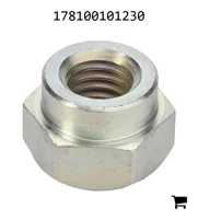 AGCO 178100101230 Гайка