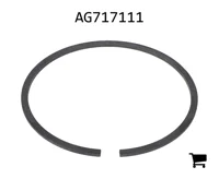 AGCO AG717111 Уплотнительное кольцо