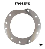 AGCO 3799385M1 Регулировочная шайба