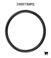 AGCO 3909788M1 Уплотнительное кольцо