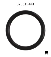 AGCO 3756194M1 Уплотнительное кольцо