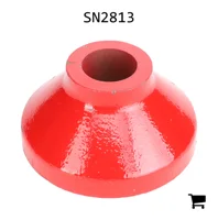 AGCO SN2813 Подшипник катушки