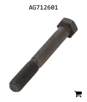 AGCO AG712601 Болт