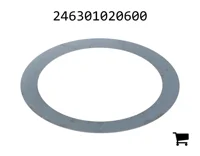 AGCO 246301020600 Проставочная шайба