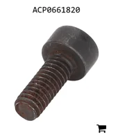 AGCO ACP0661820 Винт