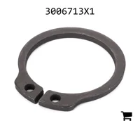 AGCO 3006713X1 Стопорное кольцо
