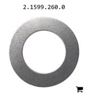 AGCO 2.1599.260.0 Шайба