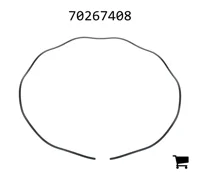 AGCO 70267408 Пружина