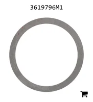 AGCO 3619796M1 Регулировочная шайба