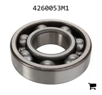 AGCO 4260053M1 Шариковый подшипник