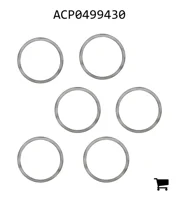 AGCO ACP0499430 Комплект регулировочных шайб