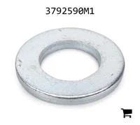 AGCO 3792590M1 Шайба