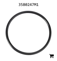 AGCO 3580247M1 Уплотнительное кольцо тяги