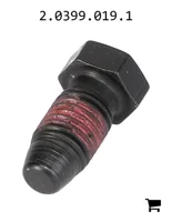 AGCO 2.0399.019.1 Винт