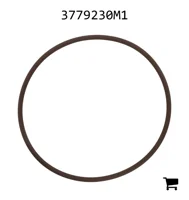 AGCO 3779230M1 Уплотнительное кольцо