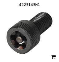 AGCO 4223143M1 Винт с шестигранной головкой