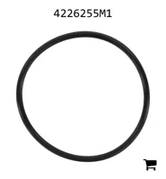 AGCO 4226255M1 Уплотнительное кольцо