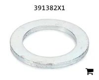 AGCO 391382X1 Плоская шайба
