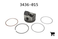 AGCO 3436-015 Поршень