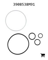 AGCO 3908538M91 Комплект соединений и прокладок