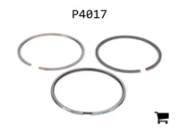 AGCO P4017 Комплект колец