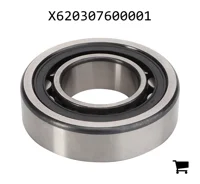 AGCO X620307600001 Цилиндрический роликовый подшипник