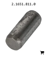AGCO 2.1651.811.0 Палец