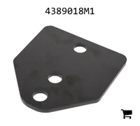 AGCO 4389018M1 Шайба