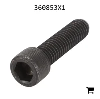 AGCO 360853X1 Болт