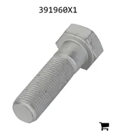 AGCO 391960X1 Болт