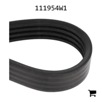 AGCO 111954W1 Приводной ремень насоса