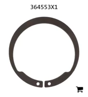 AGCO 364553X1 Кольцо