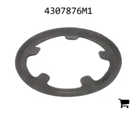 AGCO 4307876M1 Кольцо