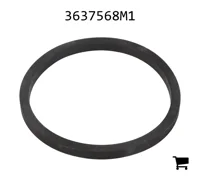 AGCO 3637568M1 Уплотнение