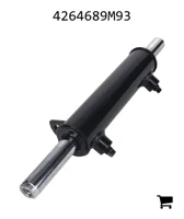 AGCO 4264689M93 Цилиндр