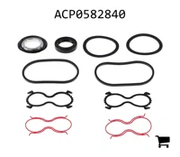 AGCO ACP0582840 Ремкомплект